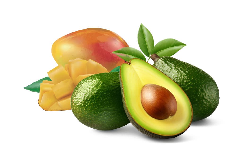 Fruit